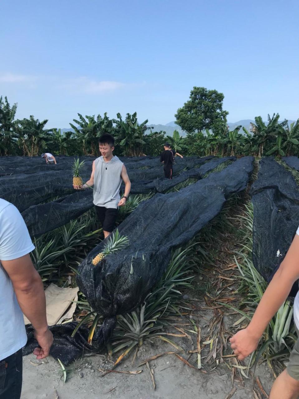 Yi-Xiang Yuan Guest House驛香緣民宿 Ruisui Buitenkant foto